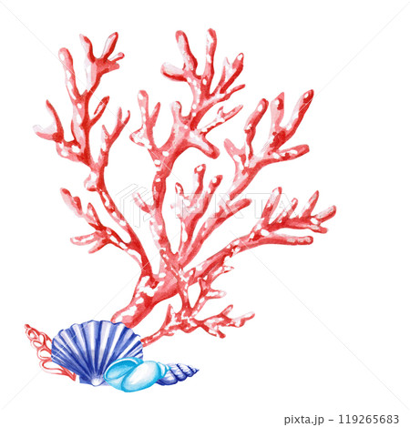Coral branches with shells in watercolor. Isolated monochrome illustration of sea creatures for marine themed event design, textile design, printing, children's parties Coral branches with shells in watercolor. Isolated monochrome illustration of sea creatures for marine themed event design, textile design, printing, children's parties 119265683