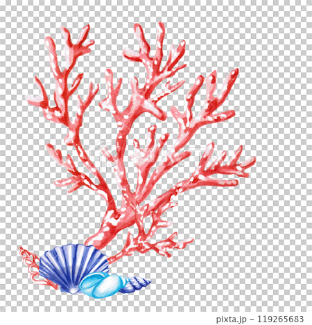 Coral branches with shells in watercolor. Isolated monochrome illustration of sea creatures for marine themed event design, textile design, printing, children's parties Coral branches with shells in watercolor. Isolated monochrome illustration of sea creatures for marine themed event design, textile design, printing, children's parties 119265683