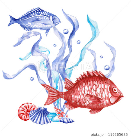 Seaweed composition with shells, red and blue fish in watercolor. Isolated monochrome illustration of sea creatures for marine themed event design, textile design, print, children's parties 119265686