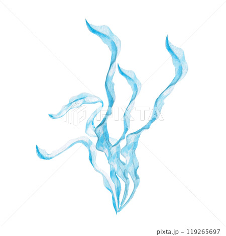 Seaweed in watercolor. Isolated monochrome illustration of sea plants for marine themed event design, textile design, printing, children's parties Seaweed in watercolor. Isolated monochrome illustration of sea plants for marine themed event design, textile design, printing, children's parties 119265697