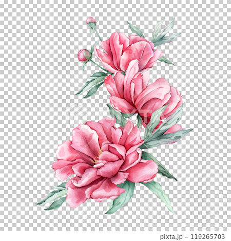 Watercolor bouquet of delicate pink peony flowers in full bloom. Hand drawn illustration beautiful floral flower. Summer botanical plant on isolated. Elements for design invitations anniversary. 119265703