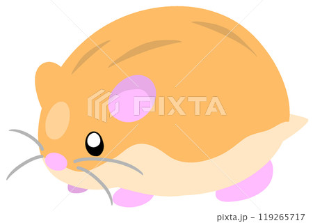 ロボロフスキーハムスター 119265717