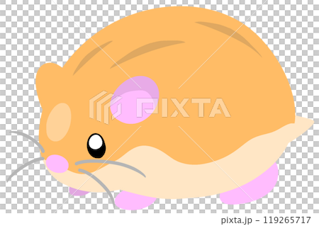 ロボロフスキーハムスター 119265717