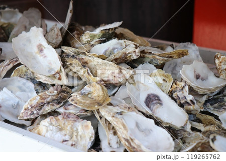 龍宮神社、鹿児島県指宿市長崎鼻 119265762