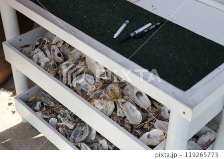龍宮神社、鹿児島県指宿市長崎鼻 龍宮神社、鹿児島県指宿市長崎鼻 119265773