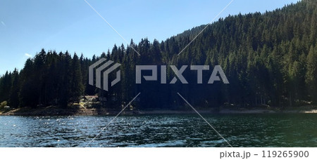 Bulgarian Rhodope Mountains. Lake Dospat. Balkans. Sarnitsa, Pazardzhik Province. Close-up shot of forest landscape 119265900