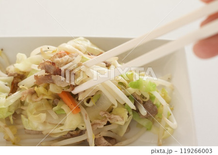 肉野菜炒め 119266003