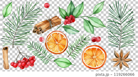 watercolor drawing, set of Christmas elements for mulled wine. dried orange, cinnamon, star anise, spruce branches. watercolor drawing, set of Christmas elements for mulled wine. dried orange, cinnamon, star anise, spruce branches. 119266066