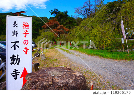 不動寺 撫子の寺 長瀞 宝登山 寳登山神社 宝登山神社 麓 駐車場 不動寺 撫子の寺 長瀞 宝登山 寳登山神社 宝登山神社 麓 駐車場 119266179