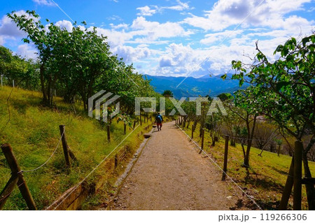 蠟梅園 梅百花園 宝登山 寳登山神社 宝登山神社 蠟梅園 梅百花園 宝登山 寳登山神社 宝登山神社 119266306