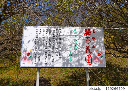 蠟梅園 梅百花園 宝登山 寳登山神社 宝登山神社 蠟梅園 梅百花園 宝登山 寳登山神社 宝登山神社 119266309