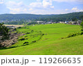 夏の種差海岸 119266635