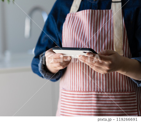 スマホを持つ主婦 スマホを持つ主婦 119266691
