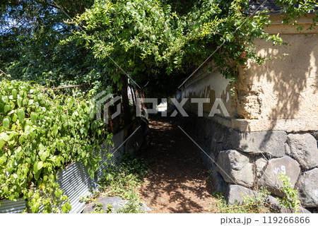 古い土塀の横の緑に囲まれた細い通路 119266866