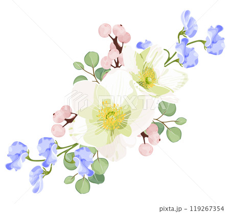 Vector illustration of a spring floral arrangement featuring white anemone, blue sweet peas, eucalyptus leaves, and pink berries. Vector illustration of a spring floral arrangement featuring white anemone, blue sweet peas, eucalyptus leaves, and pink berries. 119267354