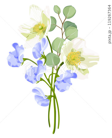 Vector illustration of a spring floral arrangement featuring white anemone, blue sweet peas, eucalyptus leaves, and pink berries. 119267364