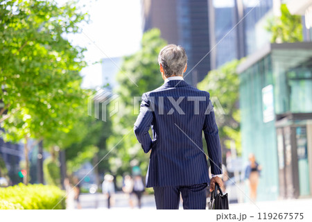 シニアのビジネスマン シニアのビジネスマン 119267575