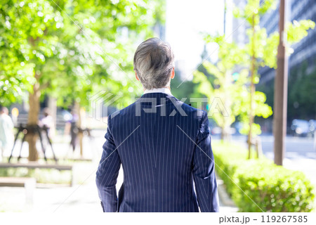 ビジネスマン　シニア　男性 119267585