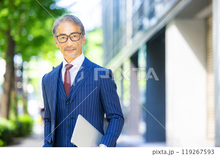 シニアのビジネスパーソンポートレート シニアのビジネスパーソンポートレート 119267593