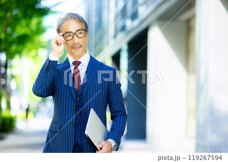 シニアのビジネスパーソンポートレート シニアのビジネスパーソンポートレート 119267594