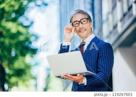 シニアのビジネスパーソンポートレート 119267601