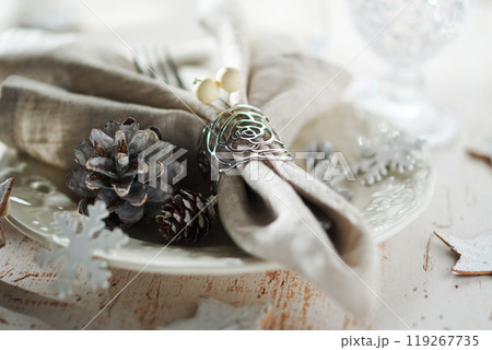 クリスマス・テーブルコーディネート クリスマス・テーブルコーディネート 119267735