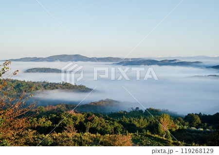 雲海 雲海 119268129