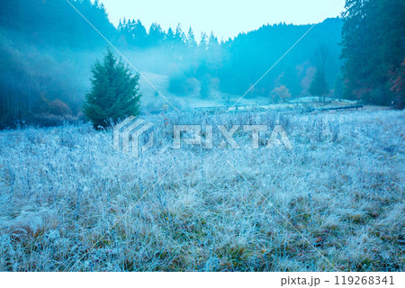 Mountain landscape in the early foggy frosty morning 119268341