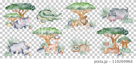 Watercolor wildlife animals set. Hand drawn Jungle clipart with cartoon African adorable zoo. Childish illustration Savanna design. Safari design with wild nature for icon or logo baby shower. Watercolor wildlife animals set. Hand drawn Jungle clipart with cartoon African adorable zoo. Childish illustration Savanna design. Safari design with wild nature for icon or logo baby shower. 119269968
