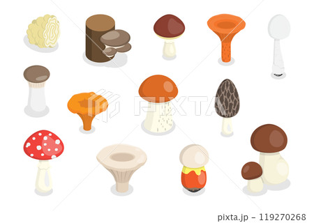 3D Isometric Flat  Set of Mushrooms, Fungus Plants 119270268
