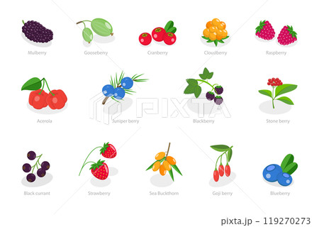 3D Isometric Flat Set of Berries, Healthy Detox Natural Products 3D Isometric Flat Set of Berries, Healthy Detox Natural Products 119270273