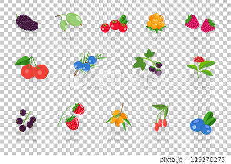 3D Isometric Flat  Set of Berries, Healthy Detox Natural Products 119270273