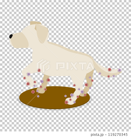 3D Isometric Flat Illustration of Dirty Dog, Animal Parasites 3D Isometric Flat Illustration of Dirty Dog, Animal Parasites 119270345