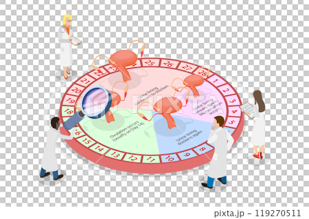 3D Isometric Flat  Illustration of Womens Fertility Cycle Calendar , Ovulation Phase 119270511