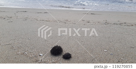 Nea Karvali, East Macedonia and Thrace, Kavala Municipality, northern Greece 119270855