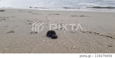 Nea Karvali, East Macedonia and Thrace, Kavala Municipality, northern Greece 119270856