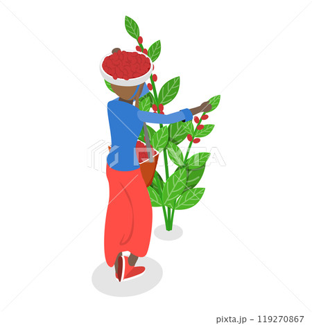 3D Isometric Flat Illustration of Coffee Plantation. Item 3 3D Isometric Flat Illustration of Coffee Plantation. Item 3 119270867