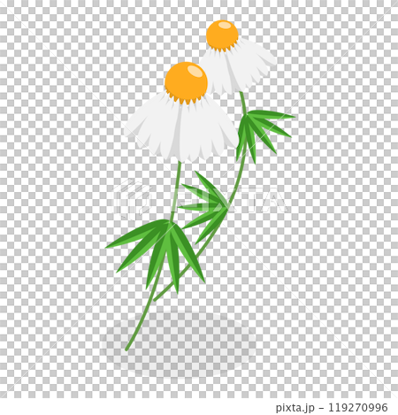 3D Isometric Flat  Set of Medical Herbs And Berries. Item 3 119270996