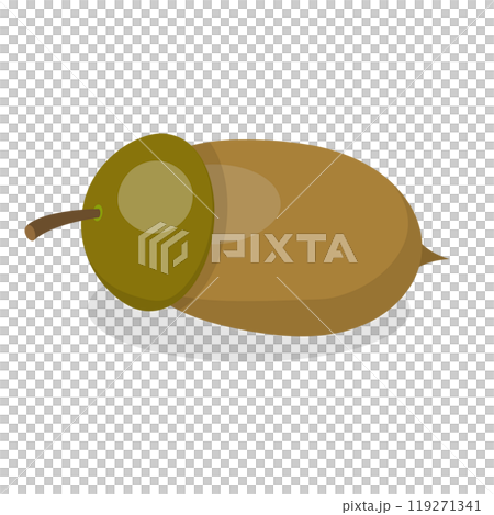 3D Isometric Flat  Set of Acorns And Cones. Item 3 119271341