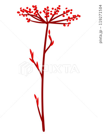Illustration of stylized twig. Image of dry plant. 119271584