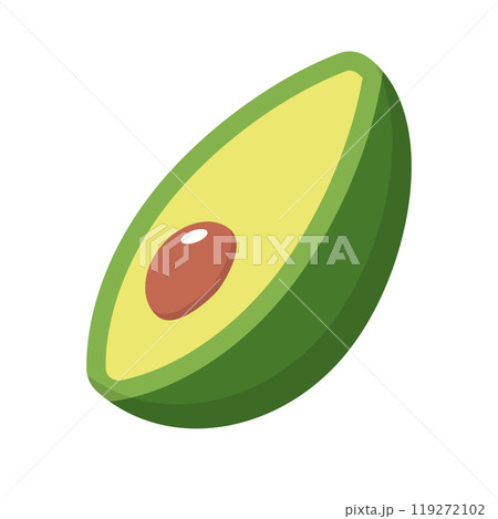 アボカド 119272102