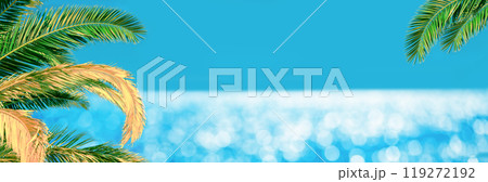 Palm leaves in front of the sea. Horizontal banner 119272192