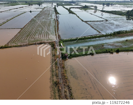 Flooded rice fields in the rain season of asia agriculture Flooded rice fields in the rain season of asia agriculture 119272246