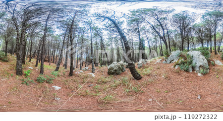 360 Panoramical Autmnal Landscape In The Forest 360 Panoramical Autmnal Landscape In The Forest 119272322
