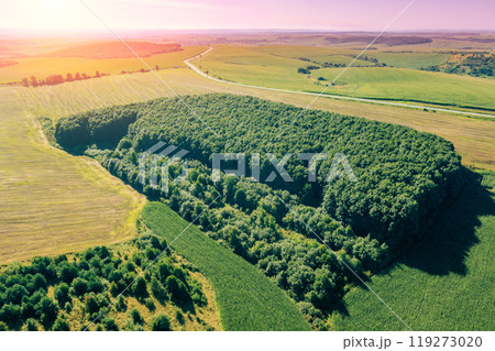 Drone view of the countryside. View of arable land and grove in a cultivated field in summer Drone view of the countryside. View of arable land and grove in a cultivated field in summer 119273020