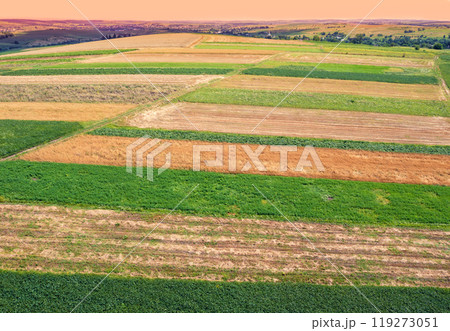 Aerial view of cultivated soy and wheat field in summer. Rural landscape 119273051