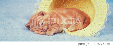 Little kitten lying in the straw hat on a blue blanket. Horizontal banner 119273076