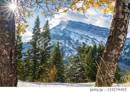 Banff National Park beautiful landscape. Snow-covered Mount Rundle with yellow and green color trees forest in snowy autumn sunny day. Canadian Rockies. Banff National Park beautiful landscape. Snow-covered Mount Rundle with yellow and green color trees forest in snowy autumn sunny day. Canadian Rockies. 119274405