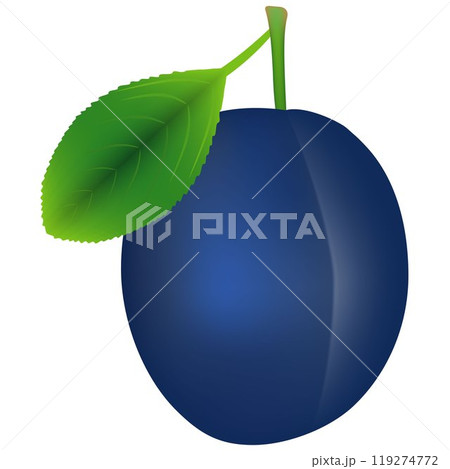 Ripe plum with green leaves. Ripe plum with green leaves. 119274772
