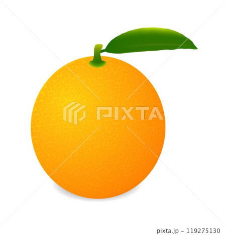 Orange fruit isolated on white background. Orange fruit isolated on white background. 119275130